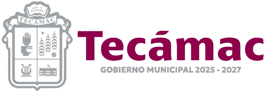 Logo tecamac